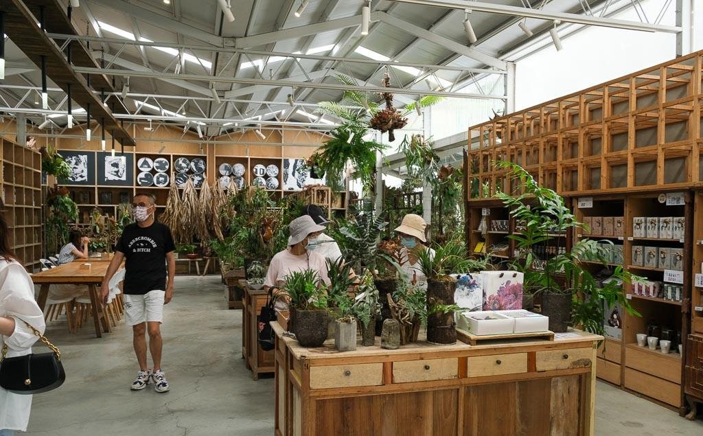 空氣圖書館 木櫃植栽陳列與選物區、逛遊其間的店內氛圍實拍