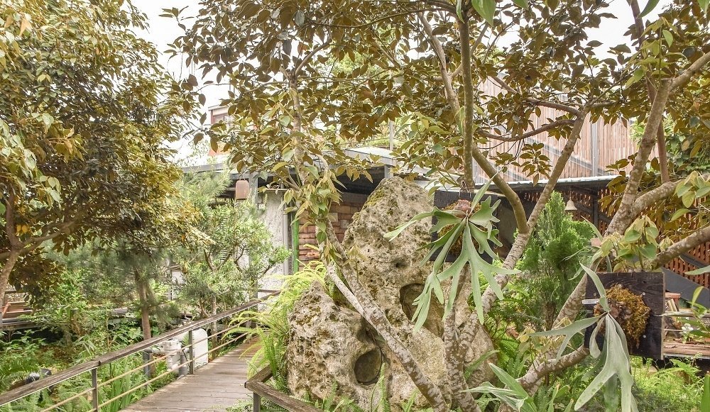 池上九號咖啡館 NO.9 木棧道庭園造景,植栽環繞