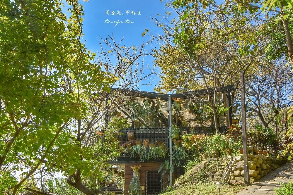丸山咖啡 Play Mountain 綠樹環繞的建築與陽光灑落的山中景致