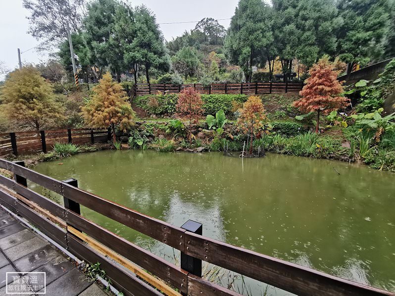 丸山咖啡 Play Mountain 落羽松環抱的庭園生態池